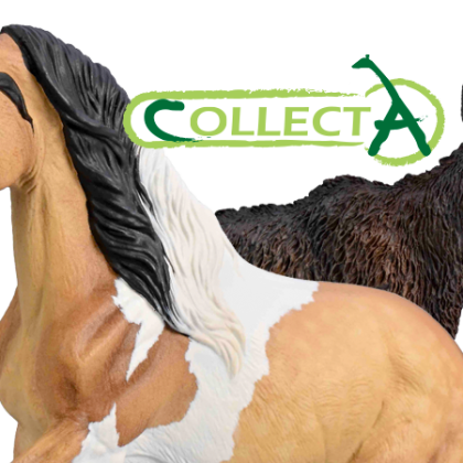 ست دندان‌گیر سیلیکونی